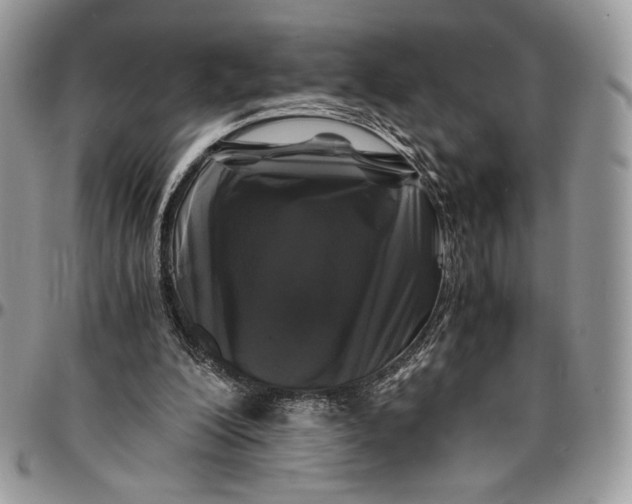 X0000096380200200802141439