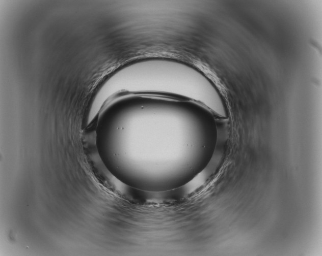 X0000096380201200802141439