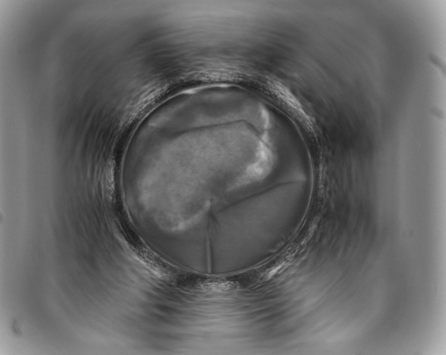 X0000096380202200802141439