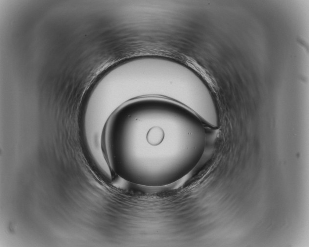 X0000096380203200802141439