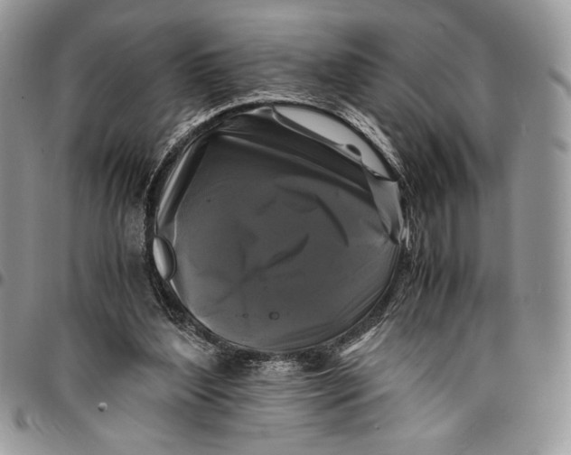 X0000096380204200802141439