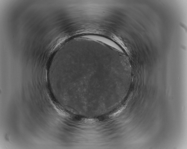 X0000096380205200802141439