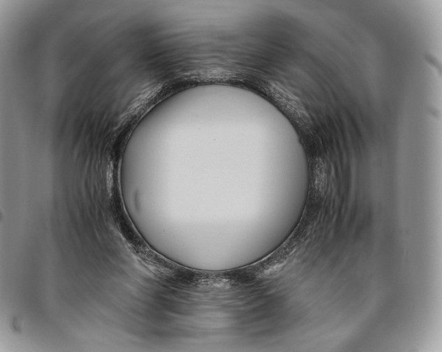 X0000096380206200802141439