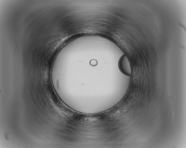 X0000096380208200802141439