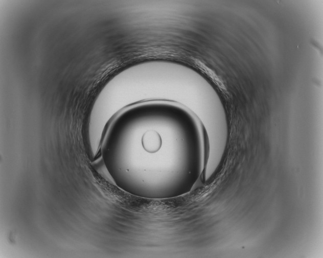 X0000096380209200802141439