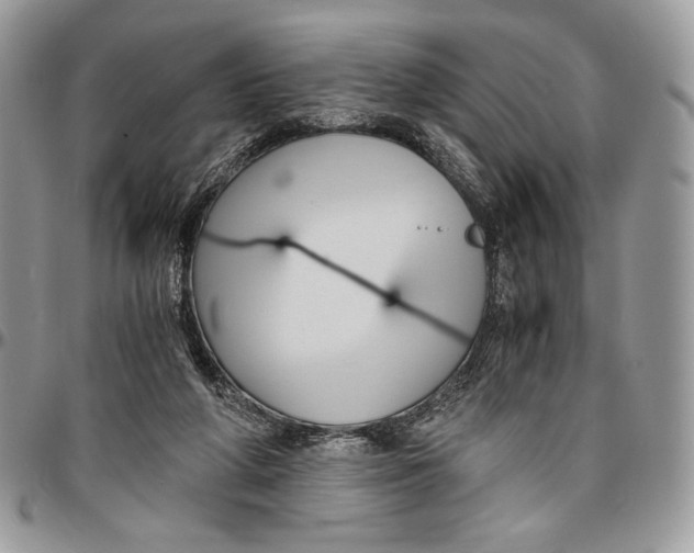 X0000096380210200802141439