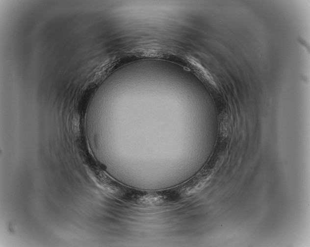 X0000096380213200802141439