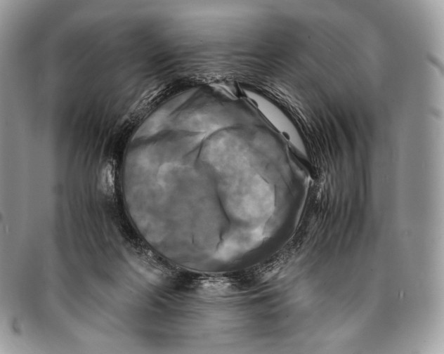 X0000096380214200802141439