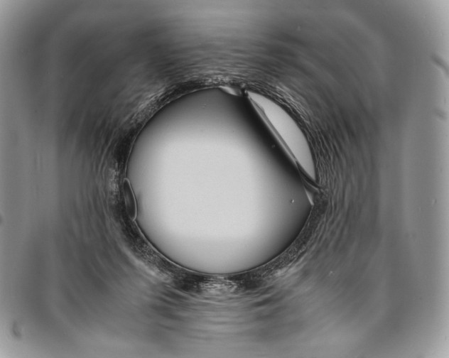 X0000096380215200802141439