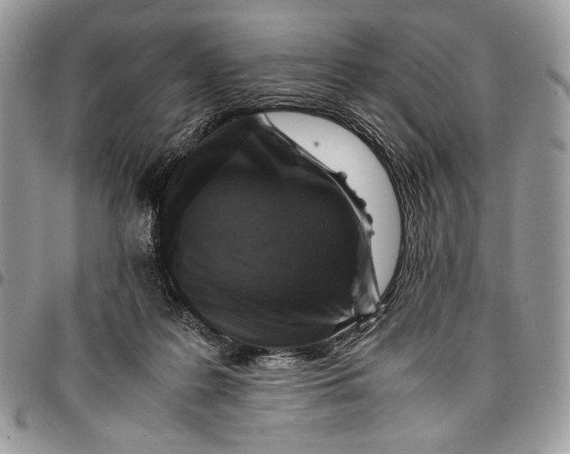 X0000096380219200802141439