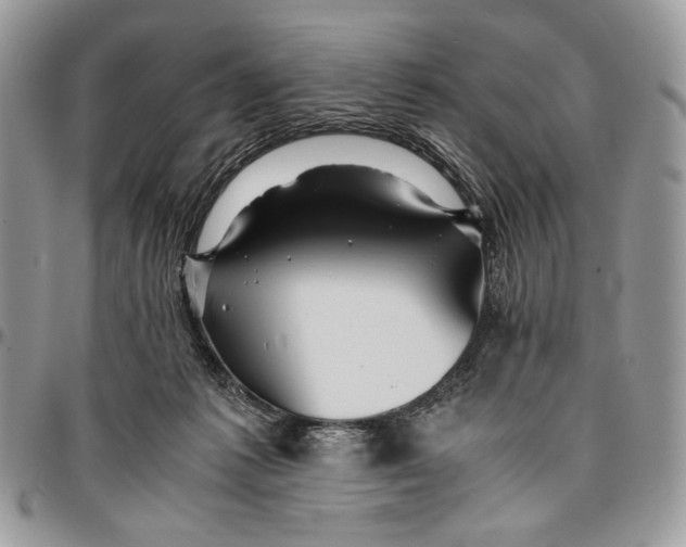 X0000096380221200802141439