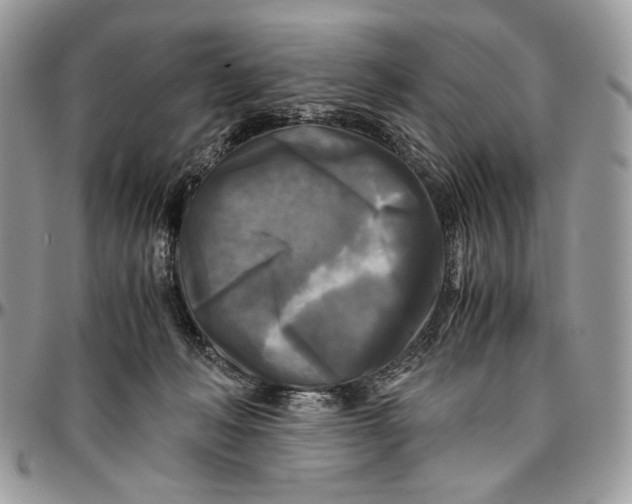 X0000096380222200802141439