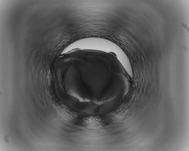 X0000096380223200802141439