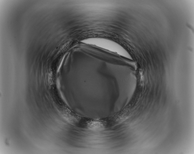 X0000096380224200802141439