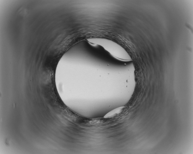 X0000096380225200802141439