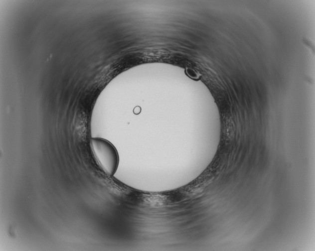 X0000096380226200802141439