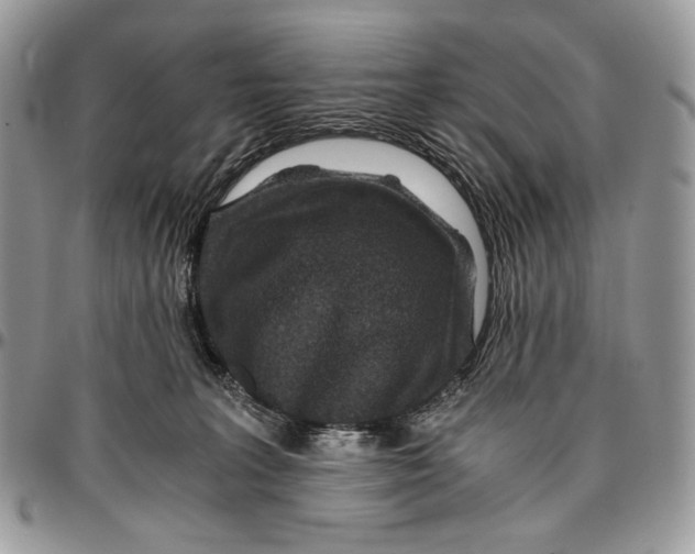 X0000096380227200802141439