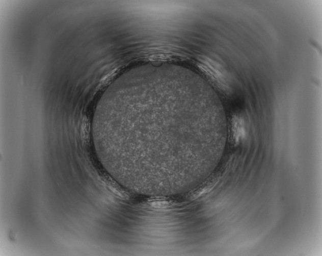 X0000096380228200802141439