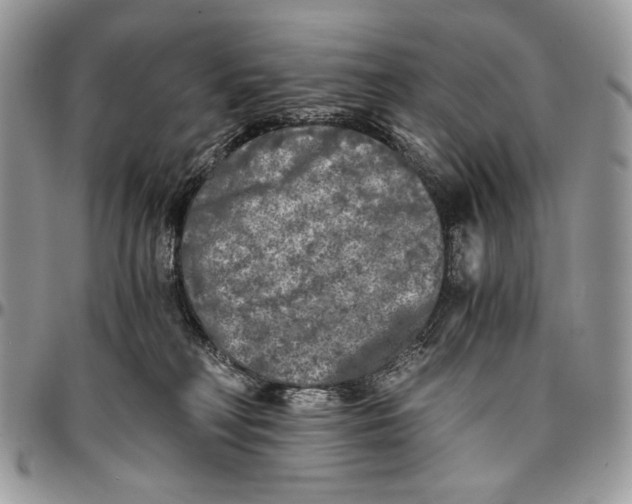 X0000096380230200802141439