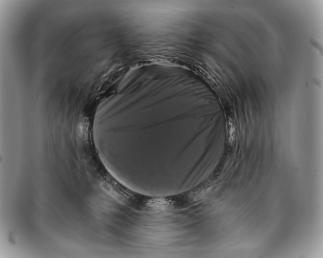 X0000096380231200802141439