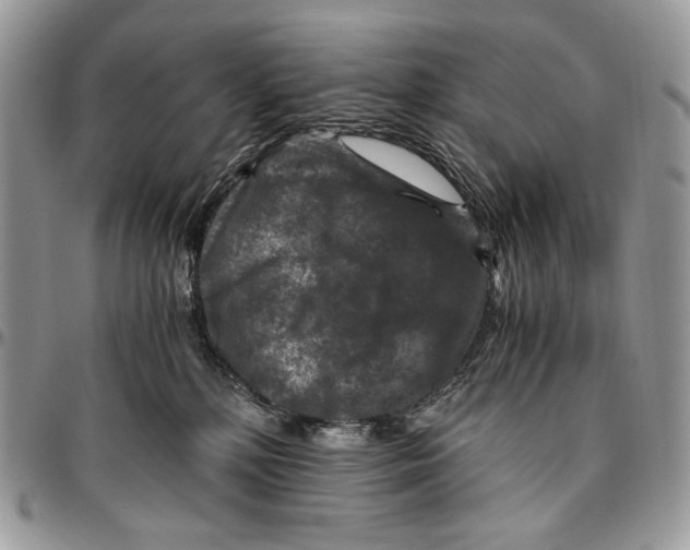 X0000096380232200802141439