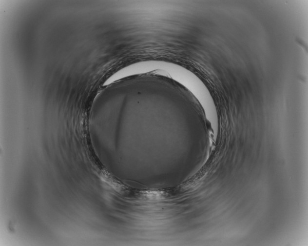 X0000096380233200802141439