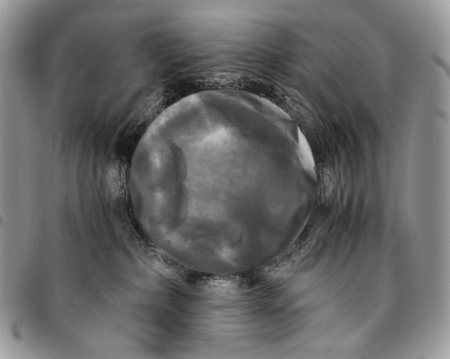 X0000096380236200802141439