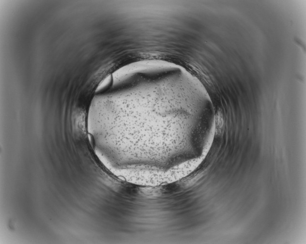 X0000096380238200802141439