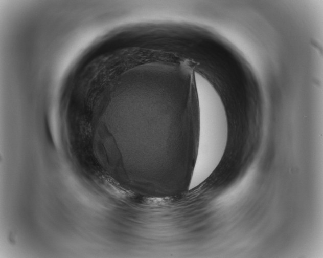 X0000096380239200802141438