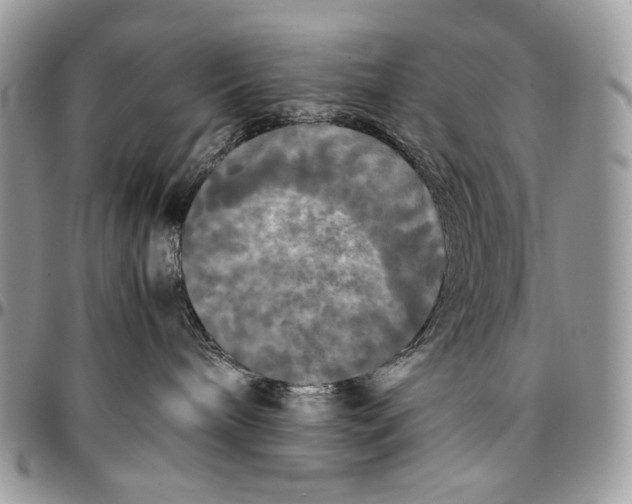 X0000096380240200802141438