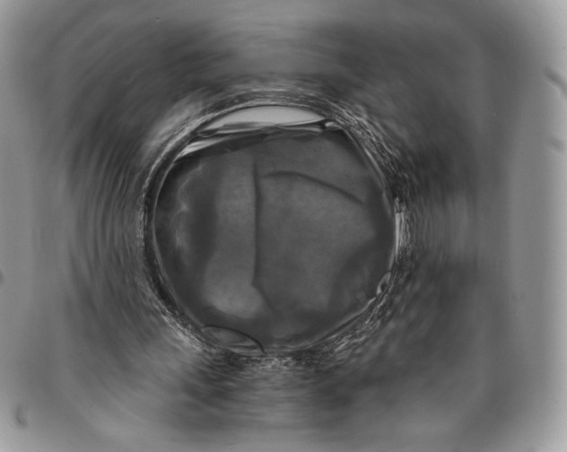 X0000096380243200802141438