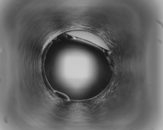 X0000096380244200802141438