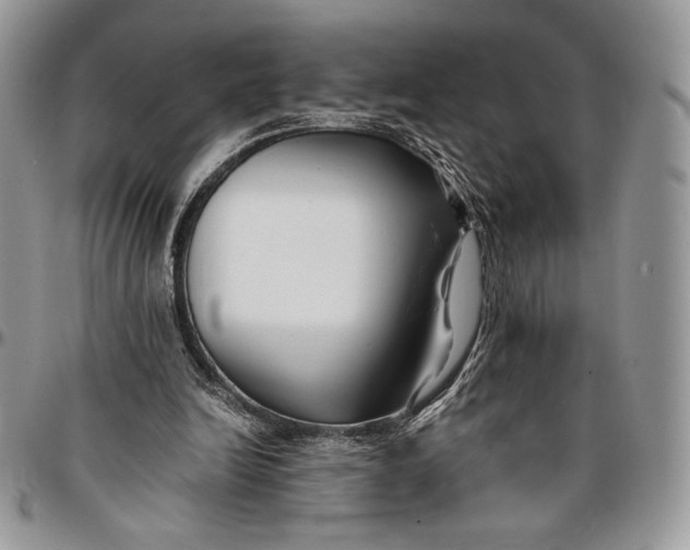 X0000096380246200802141438