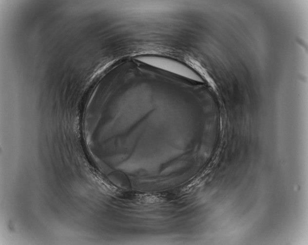 X0000096380249200802141438