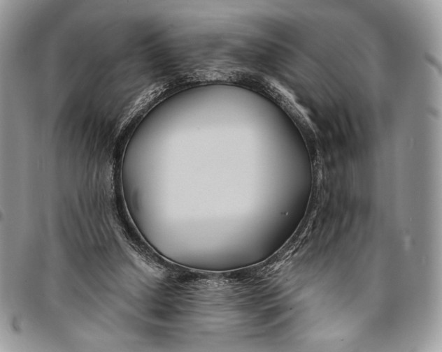 X0000096380250200802141438