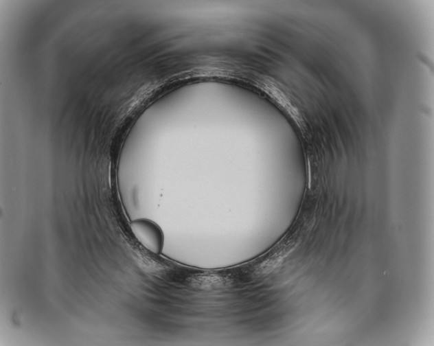 X0000096380253200802141438