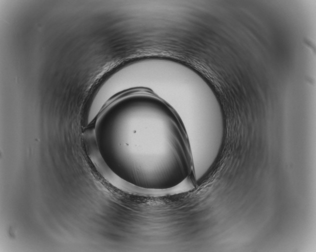 X0000096380256200802141438