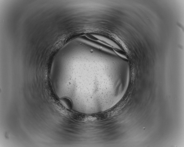 X0000096380257200802141438