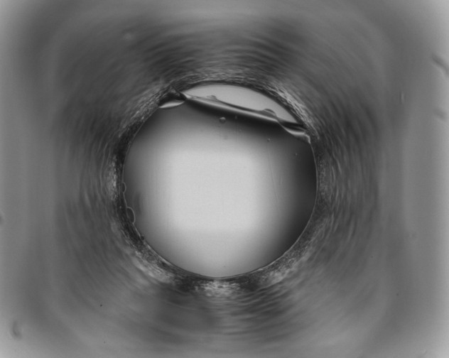 X0000096380261200802141438