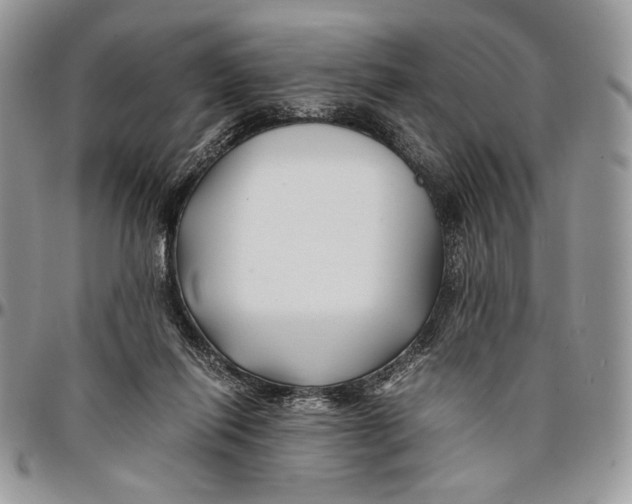 X0000096380262200802141438