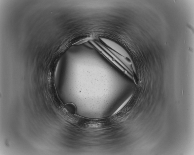 X0000096380263200802141438