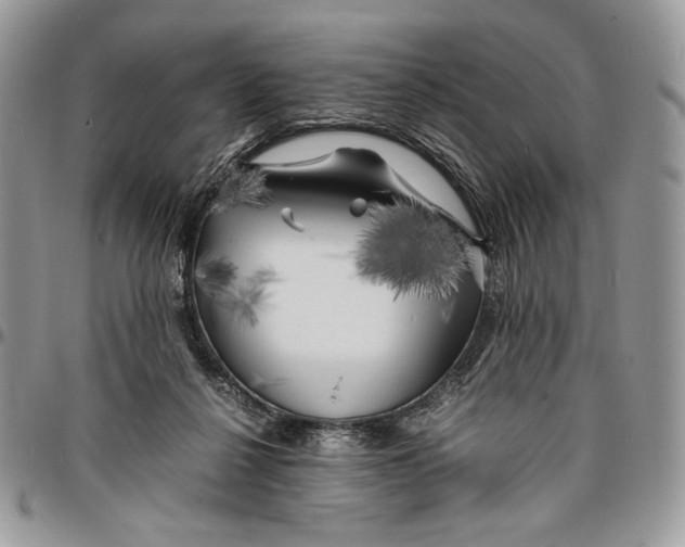 X0000096380264200802141438