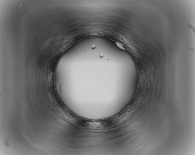 X0000096380265200802141438