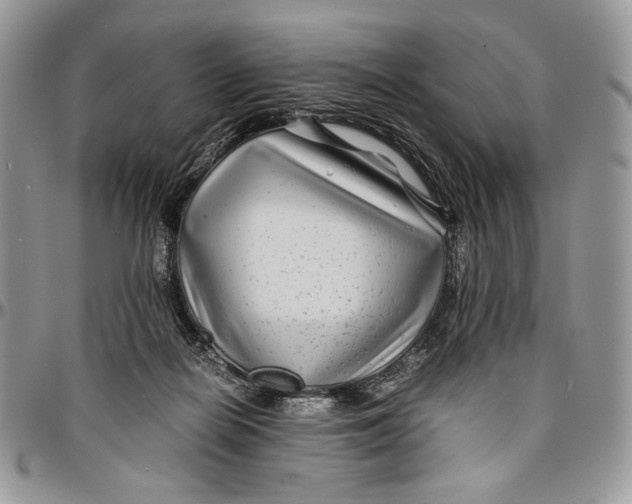 X0000096380266200802141438