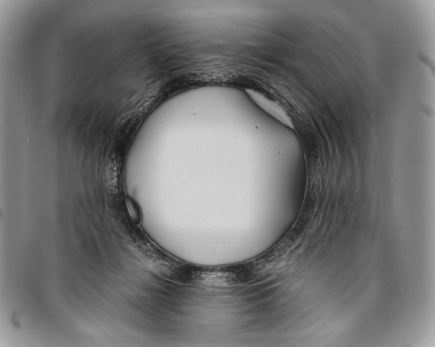 X0000096380268200802141438