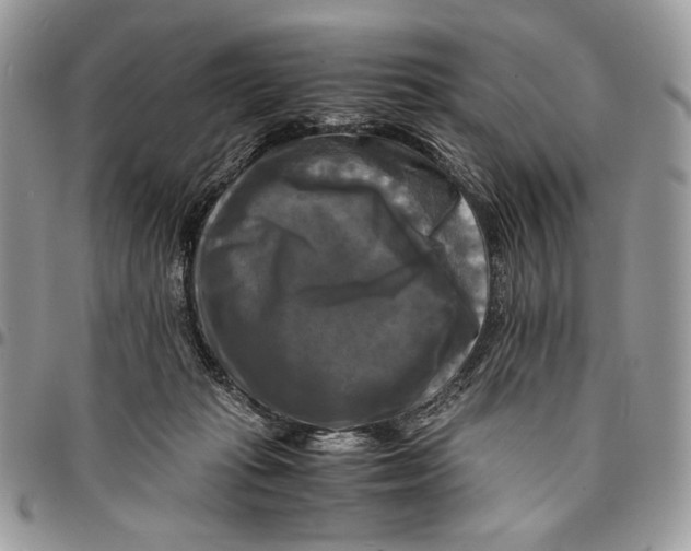 X0000096380269200802141438