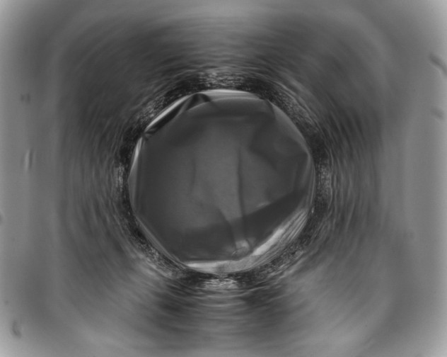 X0000096380271200802141438