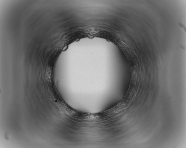 X0000096380274200802141438