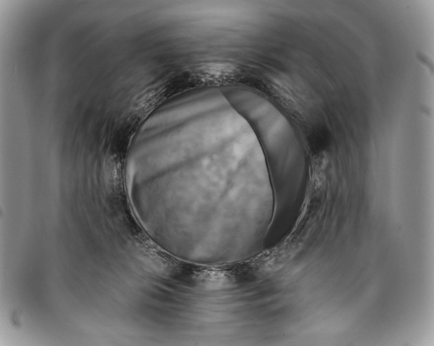 X0000096380276200802141438