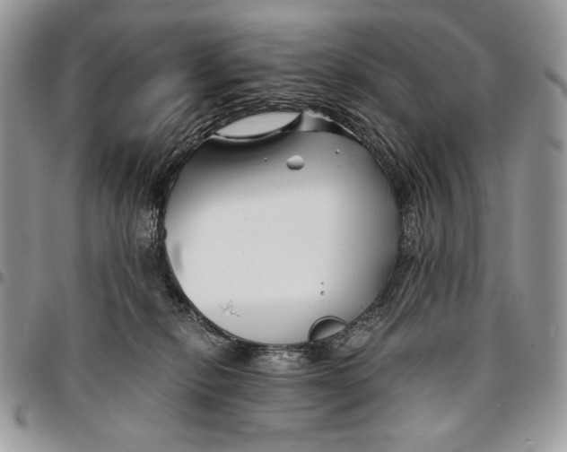 X0000096380278200802141438